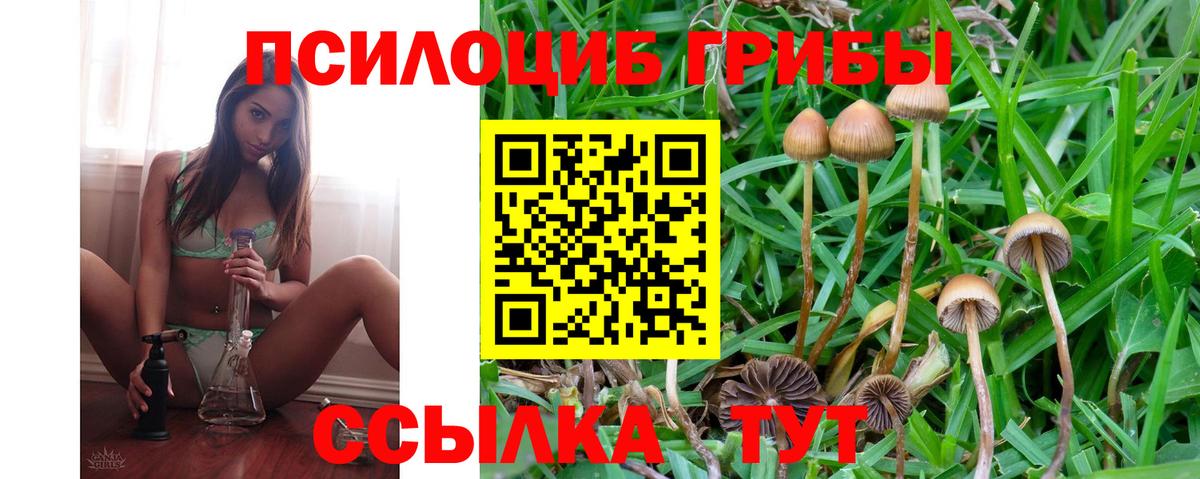 Псилоцибиновые грибы мицелий Скопин