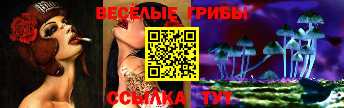 цены наркотик  Вход с VPN  Скопин  Галлюциногенные грибы прущие грибы 